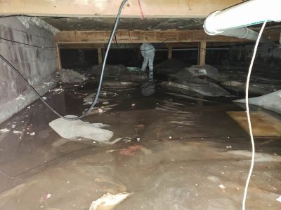 Storm Damage Cleanup detail
