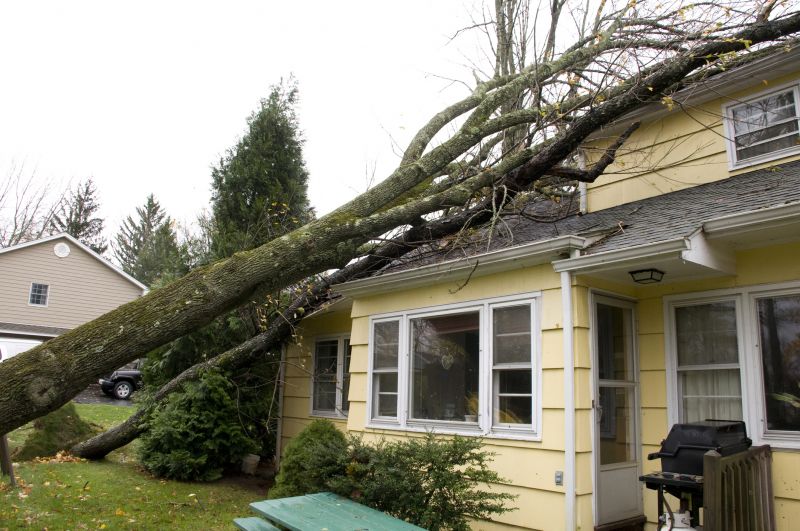 Storm Damage Cleanup detail