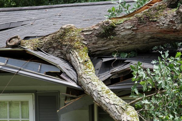 Cost of Storm Remediation in Athens