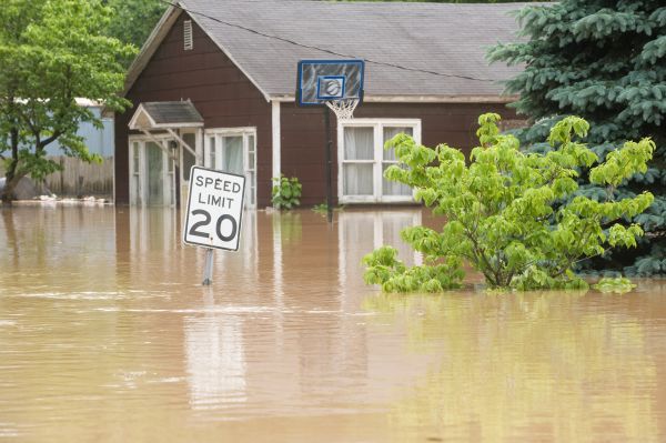 Cost of Storm Restoration Service in Athens