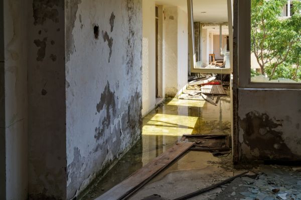 Cost of Water Removal Service in Athens