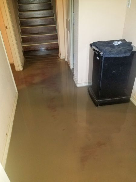 Cost of Emergency Water Removal in Athens