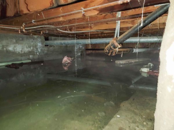 Cost of Crawl Space Drying in Athens